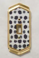 Dotted Ames Switch Plate