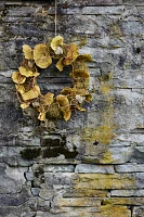 Shelf Mushroom + Moss Wreath