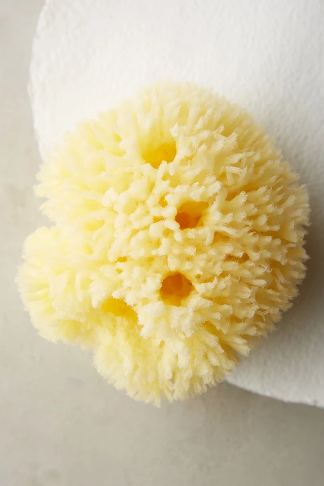 Baudelaire Large Wool Sponge