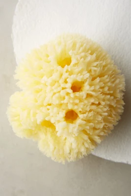 Baudelaire Large Wool Sponge
