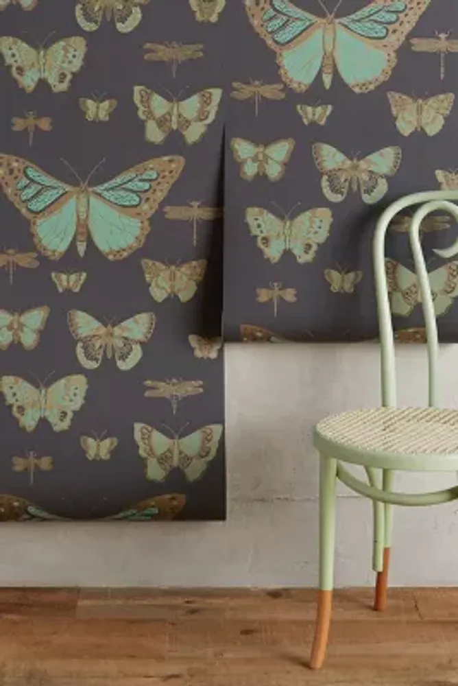 Cole & Son Lepidoptera Wallpaper