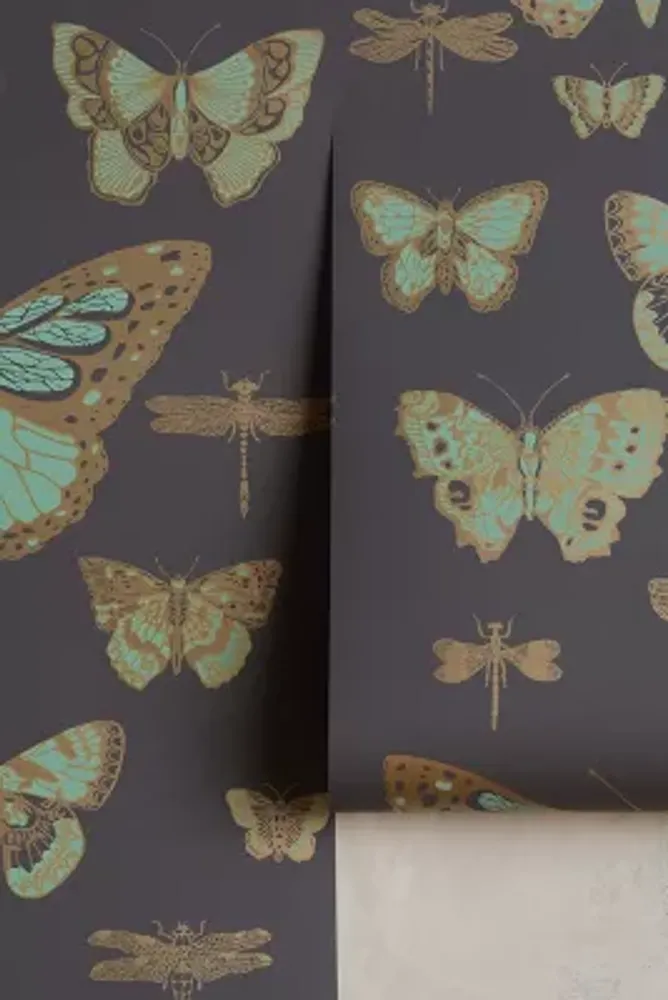 Cole & Son Lepidoptera Wallpaper