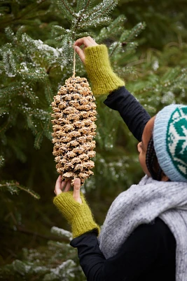 Giant Seeded Sugar Pine Cone