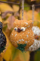 Bird Seed Owls, Set of 3