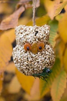 Bird Seed Owls, Set of 3