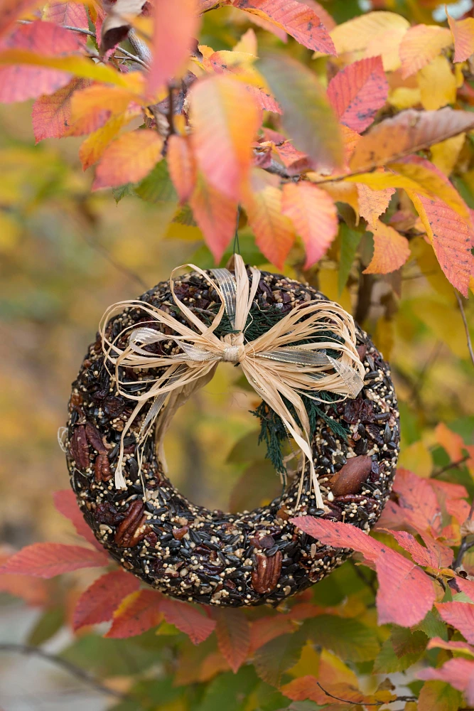 Seed Pecan Wreath