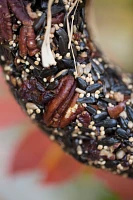 Seed Pecan Wreath