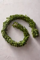 Preserved Boxwood Garland