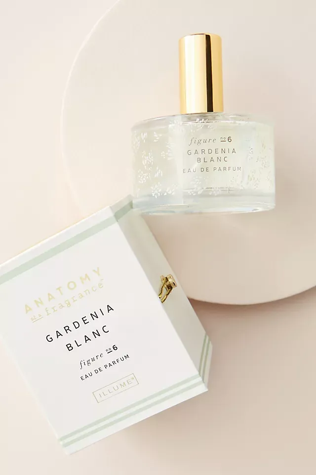 Orchid vanille perfume anthropologie Outlet