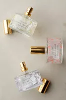 Anatomy of a Fragrance Eau De Parfum