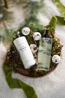 Botaniculture Essential Woodland Hand Lotion