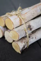 Birch Log Bundle, Large