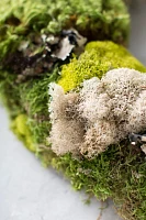 Mixed Moss Wreath