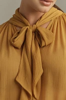 Let Me Be Sheer Tie-Neck Ruffle Blouse