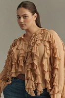 By Anthropologie Sheer Ruffle Buttondown Blouse