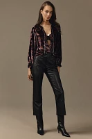 The Keira Collared Button-Front Blouse by Pilcro: Long-Sleeve Velvet Edition