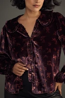 The Keira Collared Button-Front Blouse by Pilcro: Long-Sleeve Velvet Edition