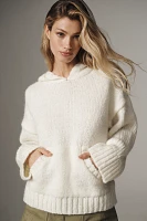 Pilcro Hooded Sweater