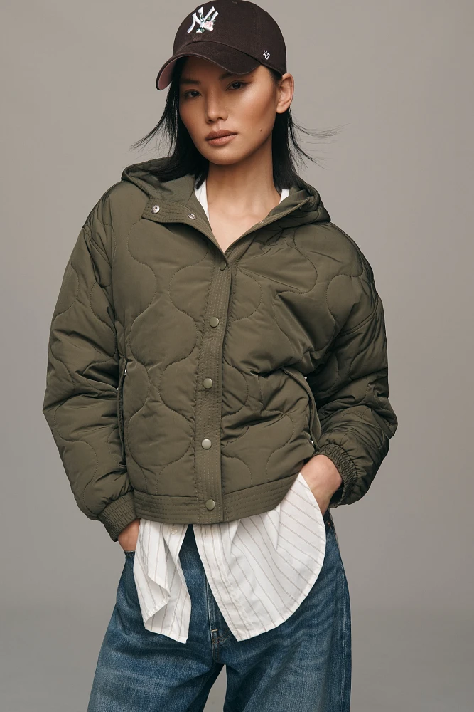 Sanctuary Quilted Hooded Jacket