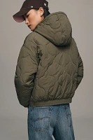 Sanctuary Quilted Hooded Jacket