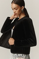 Sanctuary Quilted Velvet Lady Jacket