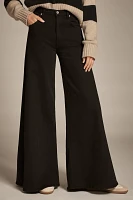 Citizens of Humanity Amari High-Rise Wide-Leg Jeans