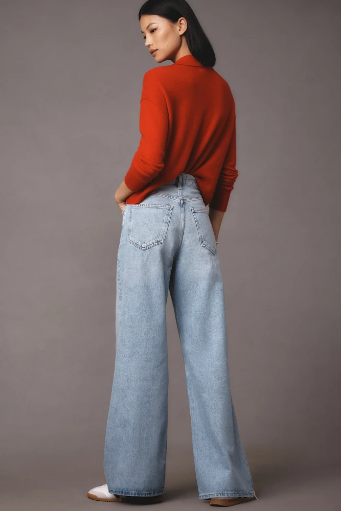 AGOLDE Dame High-Rise Wide-Leg Jeans