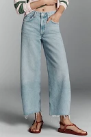 AGOLDE Low-Curve Low-Rise Cropped Tapered Jeans