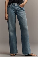 AGOLDE Low-Rise Loose Wide-Leg Jeans