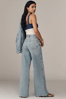 AGOLDE Dame High-Rise Wide-Leg Jeans