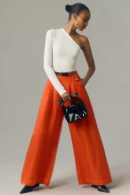 The Avery Pleated Wide-Leg Trousers by Maeve: Sheer Silk Edition