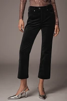 Pilcro Solid Velvet Moto Crop Pants