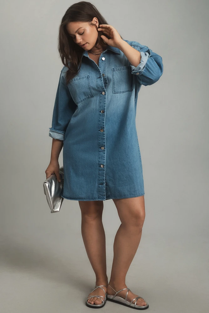 Porridge Long-Sleeve Collared Mini Shirt Dress