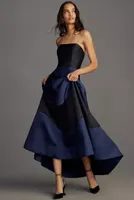 Hutch Rena Strapless Colorblock Maxi Dress