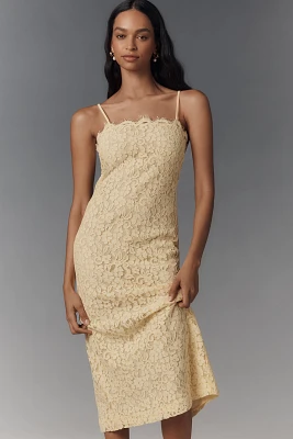 Endless Rose Scallop Lace Slim Midi Dress