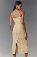 Endless Rose Scallop Lace Slim Midi Dress