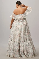 Selkie Orchard House Romance Novel Maxi Dress