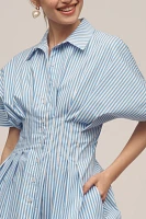 The Tobie Button-Front Pleated Shirt Dress by Exquise: Mini Edition