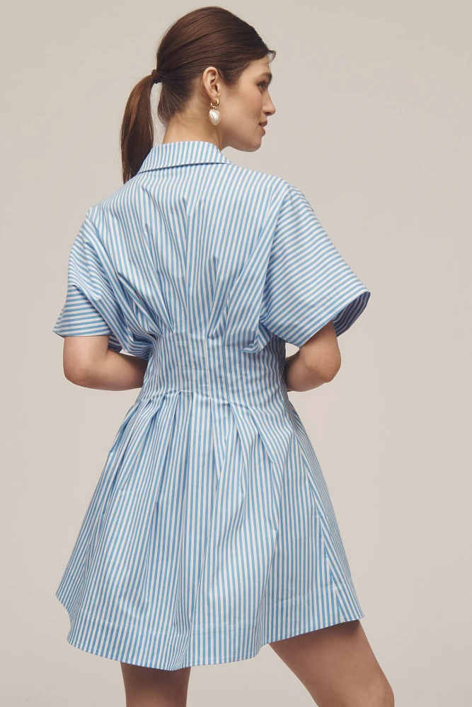 The Tobie Button-Front Pleated Shirt Dress by Exquise: Mini Edition