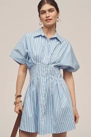 The Tobie Button-Front Pleated Shirt Dress by Exquise: Mini Edition