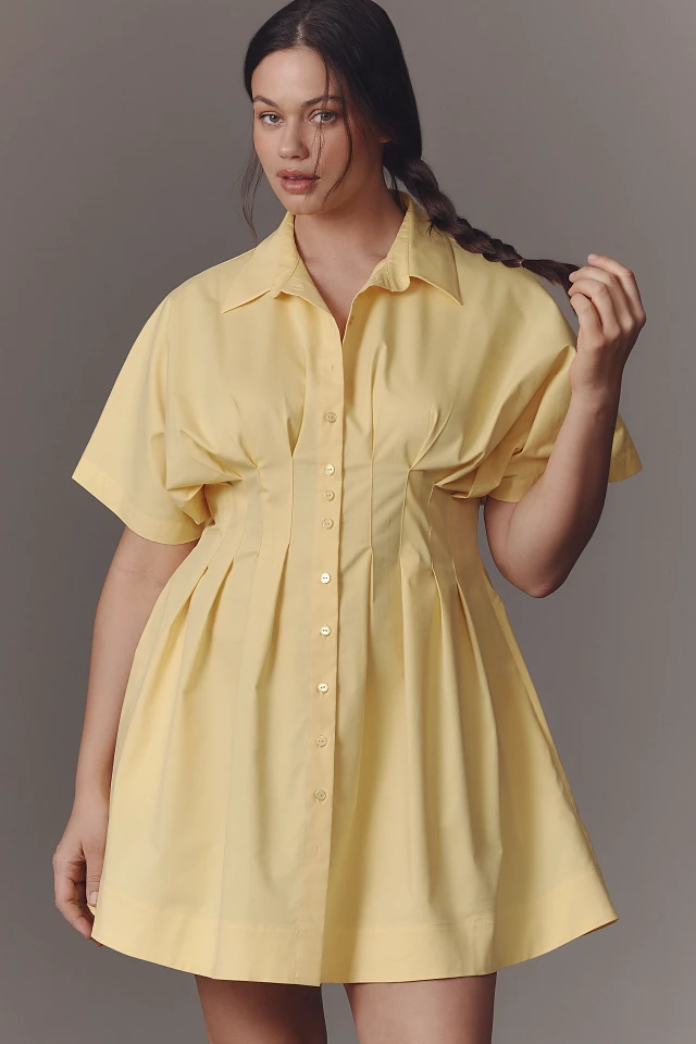 the tobie button front pleated shirt dress The Tobie Button-Front Pleated Shirt Dress