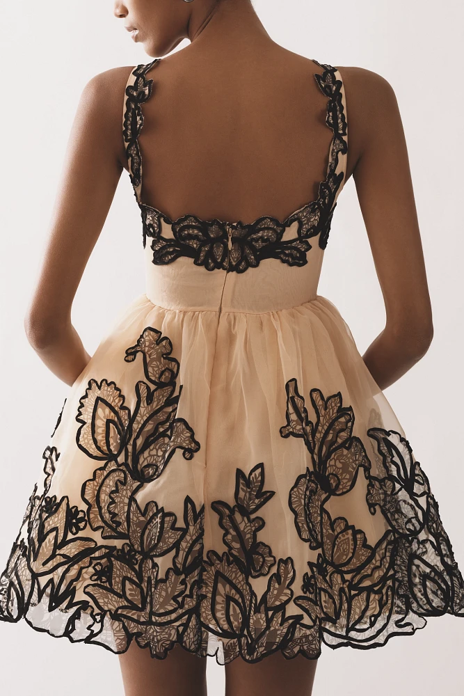 Maeve Sleeveless V-Neck Lace Fit & Flare Mini Dress