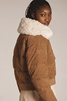 Save The Duck Reily Corduroy Sherpa Jacket