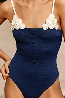 Devon Windsor Jerry One-Piece Swimsuit