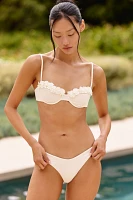 Devon Windsor Gene Bikini Bottoms