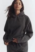 Daily Practice by Anthropologie Sparkle Pullover Hooded Sweater