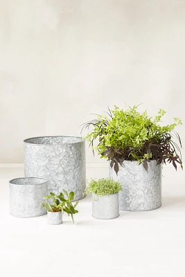 Habit & Form Cylinder Pot