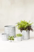 Habit & Form Cylinder Pot