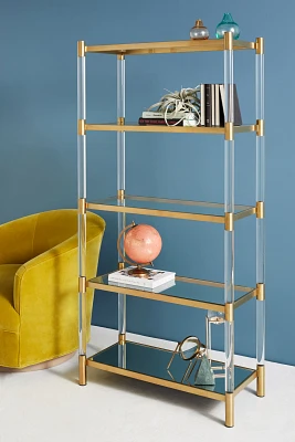 Oscarine Lucite Mirrored Bookshelf