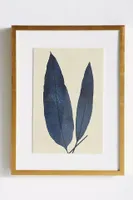 Indigo Ferns Wall Art